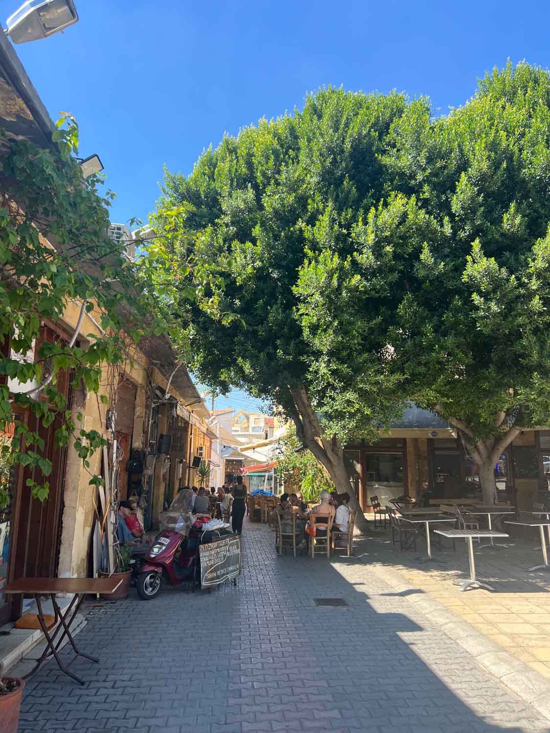 Nicosia is a must-visit on your Cyprus road trip itinerary.